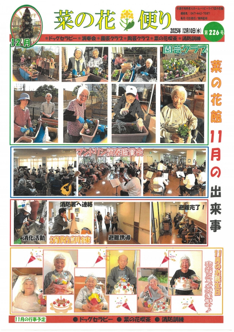 菜の花便り12月